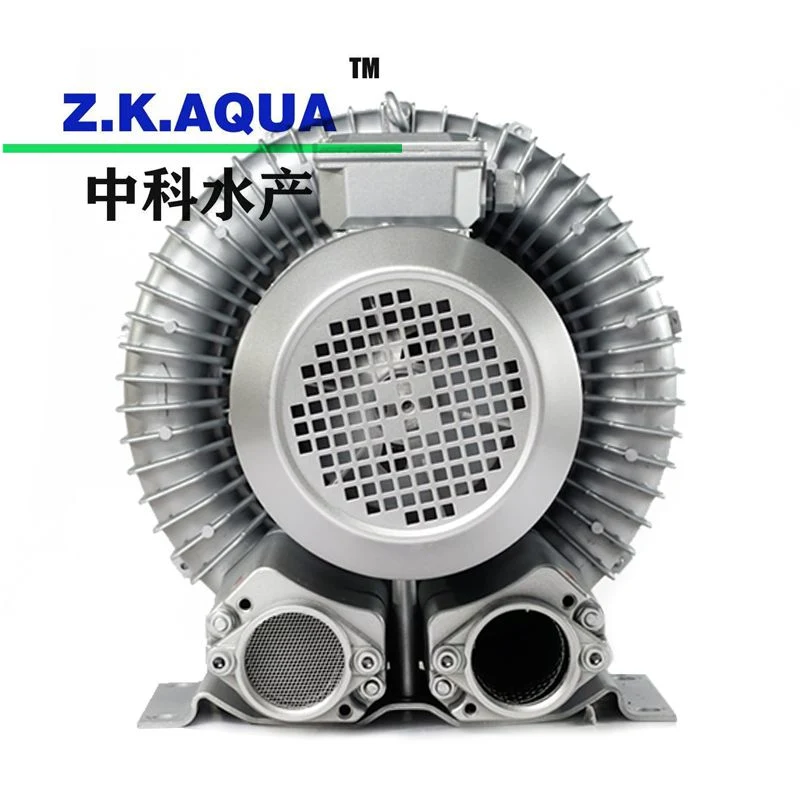 Application of High Quality Blower in Multi-Scene to Improve Fish Survival Rate, Increase Oxygen and Add Oxygen Blower